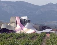 20061115101054-vino-elciego-200x160.jpg