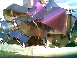 20070221094939-elciegofotobuena.jpg
